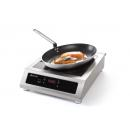 239698 |induction-cooker-model 3500 D XL