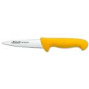 ARCOS 2900 | Butcher Knife 13 